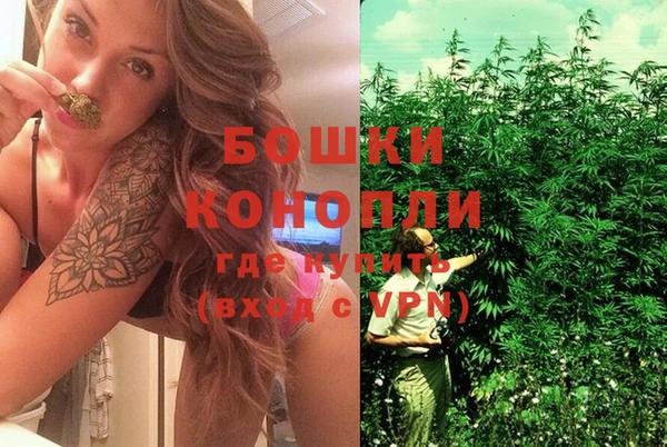 МДПВ Ельня