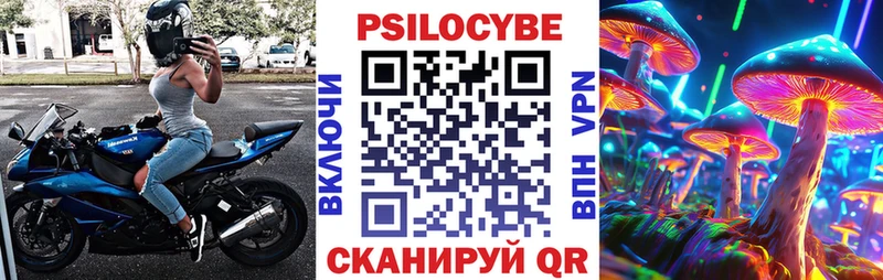 Купить закладки  Дивногорск  Псилоцибиновые грибы MAGIC MUSHROOMS 